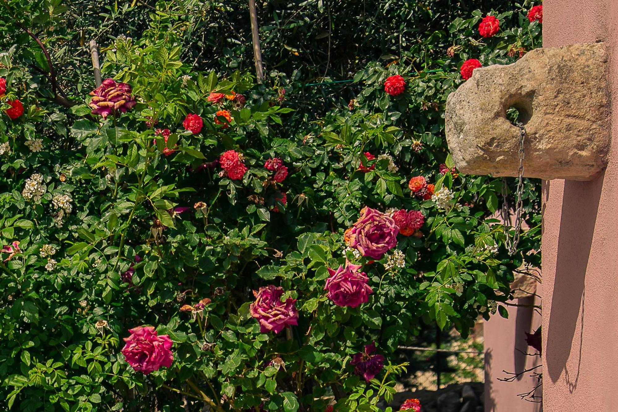 Villa Virginia Рагуза Экстерьер фото